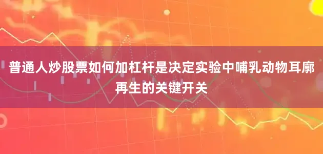 普通人炒股票如何加杠杆是决定实验中哺乳动物耳廓再生的关键开关